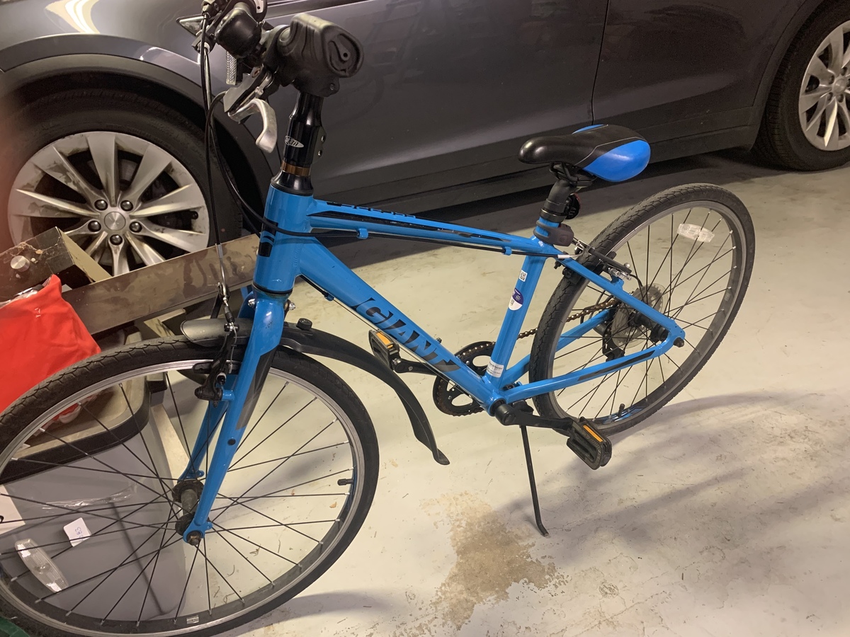 giant escape 2020 review