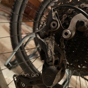 2019 Rocky Mountain Bicycles Hardtail Red and Black