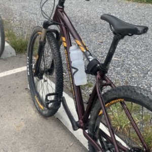 2019 Rocky Mountain Bicycles Hardtail Red and Black