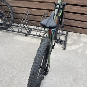 2019 Salsa Timberjack Green
