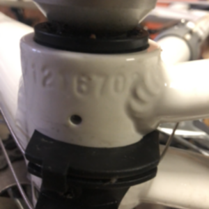 Bianchi Camaleonte Tre White