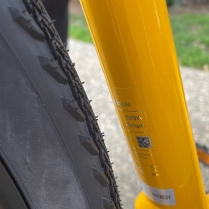 2021 Momentum Yellow or Gold