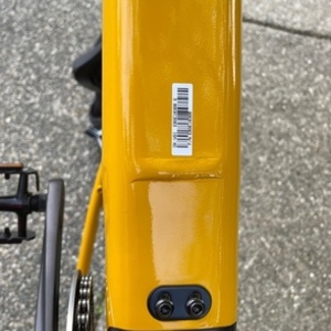 2021 Momentum Yellow or Gold