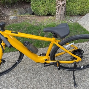 2021 Momentum Yellow or Gold