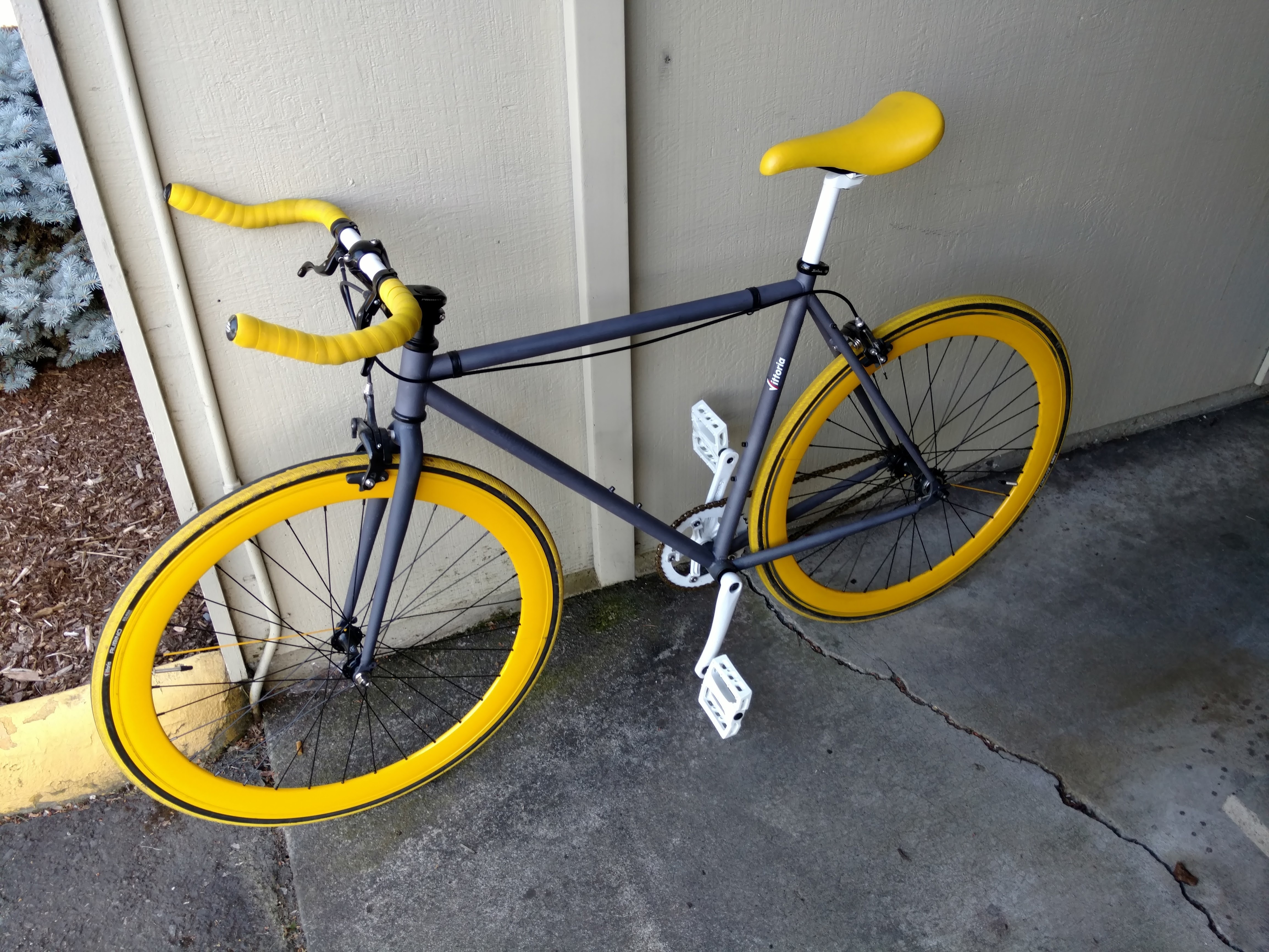 pure cycles original