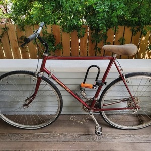 1984 Nishiki Ladies Anatomic 23 in frame Red