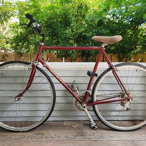 1984 Nishiki Ladies Anatomic 23 in frame Red