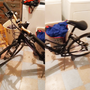 Giant Escape 1 Silver, gray or bare metal