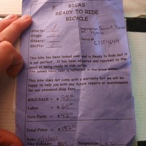 Giant Escape 1 Silver, gray or bare metal