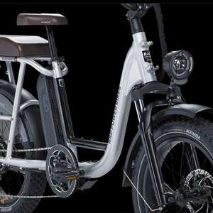 2019 Rad Power Bikes RadRunner Plus Silver, gray or bare metal