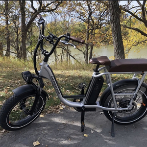2019 Rad Power Bikes RadRunner Plus Silver, gray or bare metal