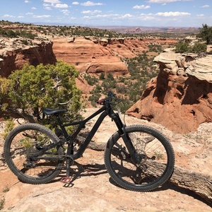 2020 Specialized Stump jumper Black