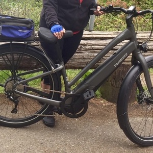 2020 Specialized Como 4.0. Small, step-through Silver, gray or bare metal
