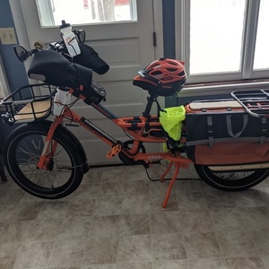 2021 Rad Power Bikes Radwagon 4 Orange