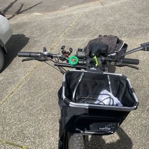 2021 Haoqi Snow Leopard Black