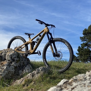 2021 Transition Bikes Sentinel V2 carbon NX Yellow or Gold
