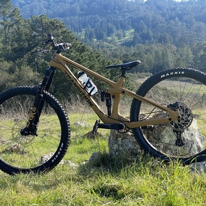 2021 Transition Bikes Sentinel V2 carbon NX Yellow or Gold