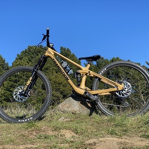 2021 Transition Bikes Sentinel V2 carbon NX Yellow or Gold