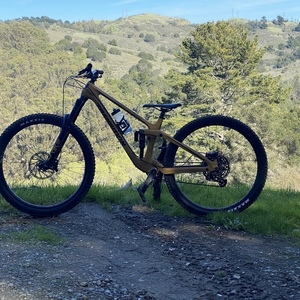 2021 Transition Bikes Sentinel V2 carbon NX Yellow or Gold