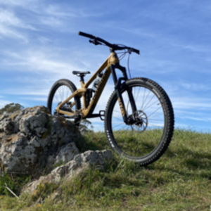 2021 Transition Bikes Sentinel V2 carbon NX Yellow or Gold