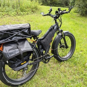 2019 Rad Power Bikes RADROVER Black