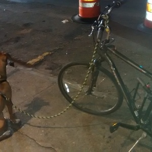 2012 Trek 22.5" Men's Verve 2 Black and Silver or Gray