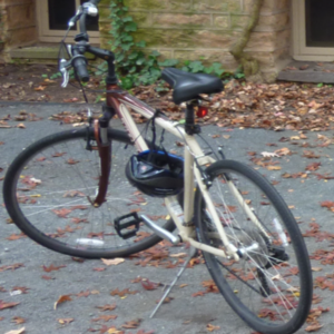 2010 Trek 7100 Brown