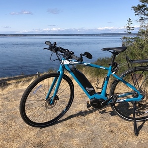 2021 Yamaha Blue and White