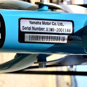 2021 Yamaha Blue and White