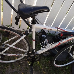2022 Schwinn Hybrid prelude Silver, gray or bare metal