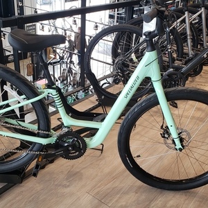2021 Specialized Roll 8 Step-Through Green