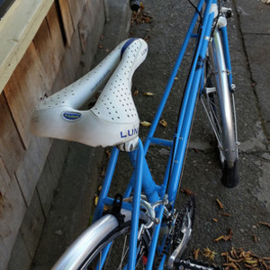 Unknown In step Blue