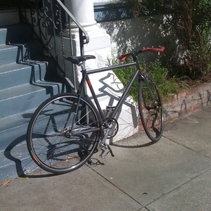 2007 Raleigh Rush Hour Silver or Gray and Red