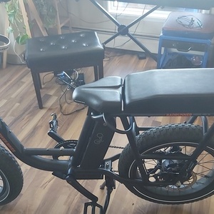 2020 Rad Power Bikes Step-Through Black