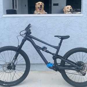 2021 Specialized Status Black and Blue