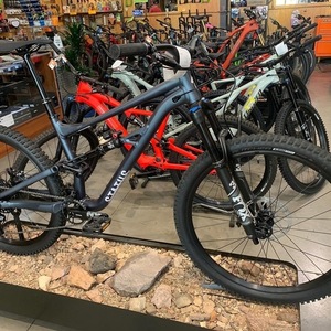 2021 Specialized Status Black and Blue