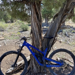 2019 YT Jeffsy Base 29 Blue