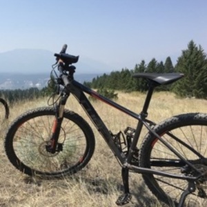 2016 Cube Attention SL 29HT 17" Silver, gray or bare metal and Orange