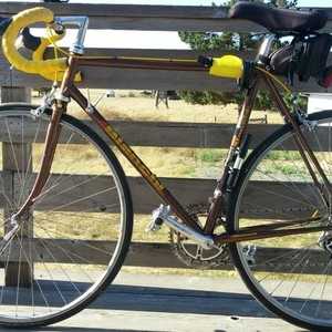1986 Bianchi Giro Brown and Yellow or Gold