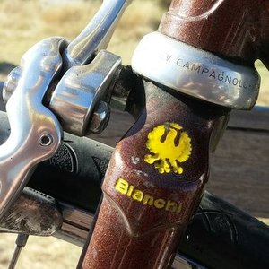 1986 Bianchi Giro Brown and Yellow or Gold
