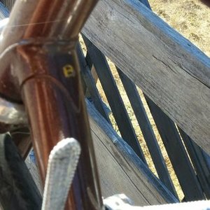 1986 Bianchi Giro Brown and Yellow or Gold