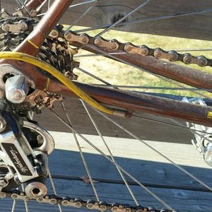 1986 Bianchi Giro Brown and Yellow or Gold