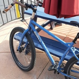 2021 Surly Ogre Blue