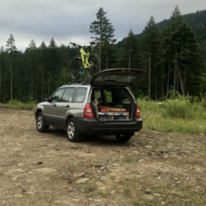 2019 Specialized Camber Green