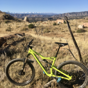 2019 Specialized Camber Green