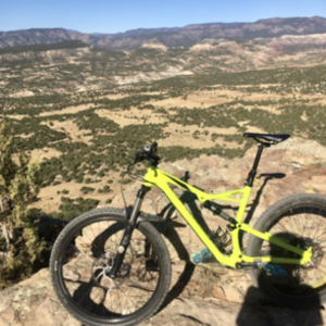 2019 Specialized Camber Green