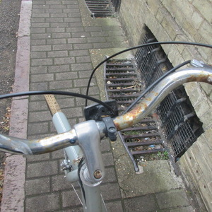 Pendleton Somerby Green