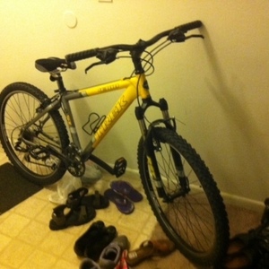 Trek 4300 Yellow or Gold and Silver or Gray