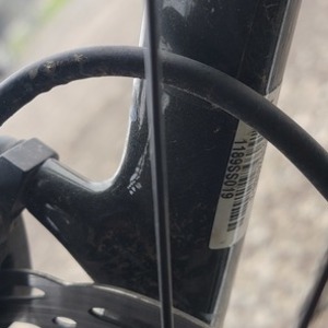 2021 Trek Remedy 9.8 Green