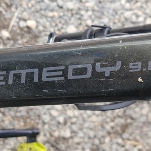 2021 Trek Remedy 9.8 Green